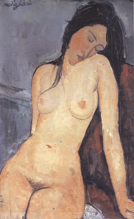 Amedeo Modigliani Seted Nude (mk39) oil painting image